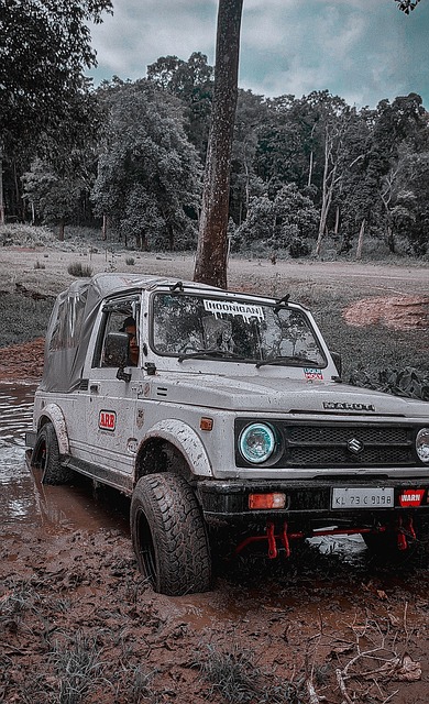 極具天賦的 極具天賦的