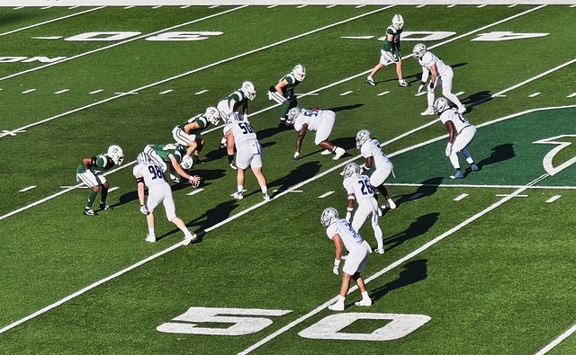 他们不仅获 他们不仅获