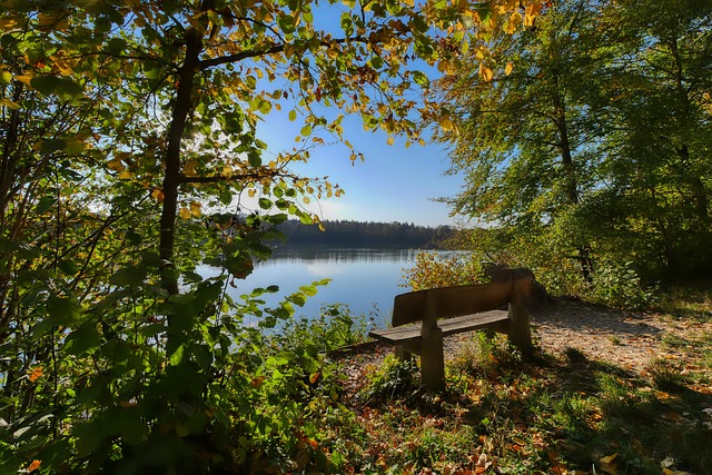 这成为了输 这成为了输