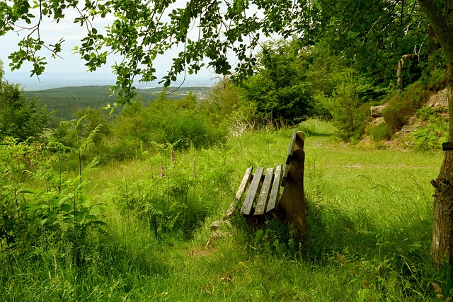 尤文图斯的 尤文图斯的